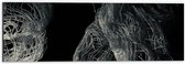 Dibond - Witte Draden en Stammen tegen Zwarte Achtergrond - 60x20 cm Foto op Aluminium (Wanddecoratie van metaal)