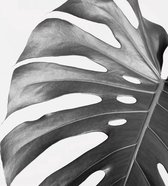 Fotobehang - Vlies Behang - Jungle Blad in zwart-wit - 312 x 219 cm