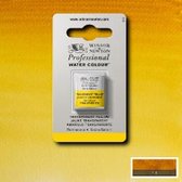 Winsor & Newton Professionele Aquarelverf Halve nap Transparent Yellow