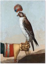 Graphic Message - Schilderij op Canvas - Valk - Vogel - Jacht Roofvogel