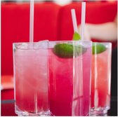 Poster Glanzend – Roze Drankjes met Munt - 50x50 cm Foto op Posterpapier met Glanzende Afwerking