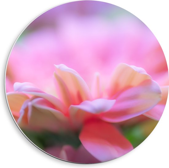 PVC Schuimplaat Muurcirkel - Close-up van Roze Bloemblaadjes - 40x40 cm Foto op Muurcirkel (met ophangsysteem)