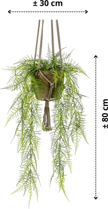 Asparagus Kunst Hangplant 80cm | Levensechte kunstplant | Kunst hangplant | Kunstplant voor binnen
