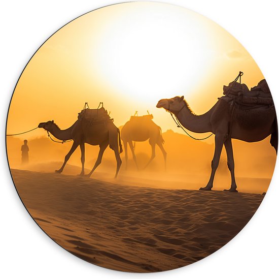 Dibond Muurcirkel - Kamelen in de Woestijn - 60x60 cm Foto op Aluminium Muurcirkel (met ophangsysteem)