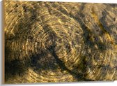 Hout - Vies Water met Regendruppels - 100x75 cm - 9 mm dik - Foto op Hout (Met Ophangsysteem)
