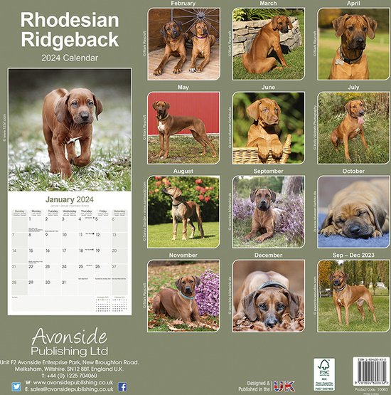 Rhodesian Ridgeback Kalender 2024 bol