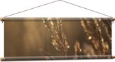 Textielposter - Zonnestralen Vallend op Beige Grassprieten - 90x30 cm Foto op Textiel