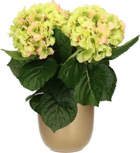 Hortensia kunstplant/kunstbloemen 36 cm - groen/roze - in pot goud glans - Kunst kamerplant