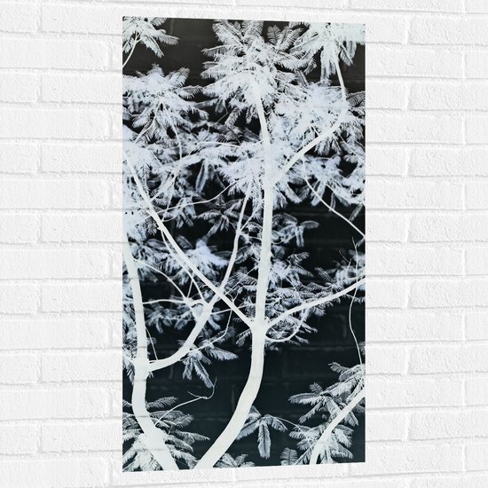 Muursticker - Takken - Boom - Bladeren - Natuur - Zwart - Wit - 50x100 cm Foto op Muursticker