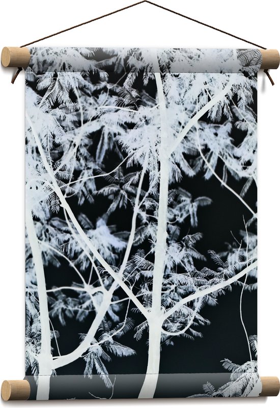 Textielposter - Takken - Boom - Bladeren - Natuur - Zwart - Wit - 30x40 cm Foto op Textiel
