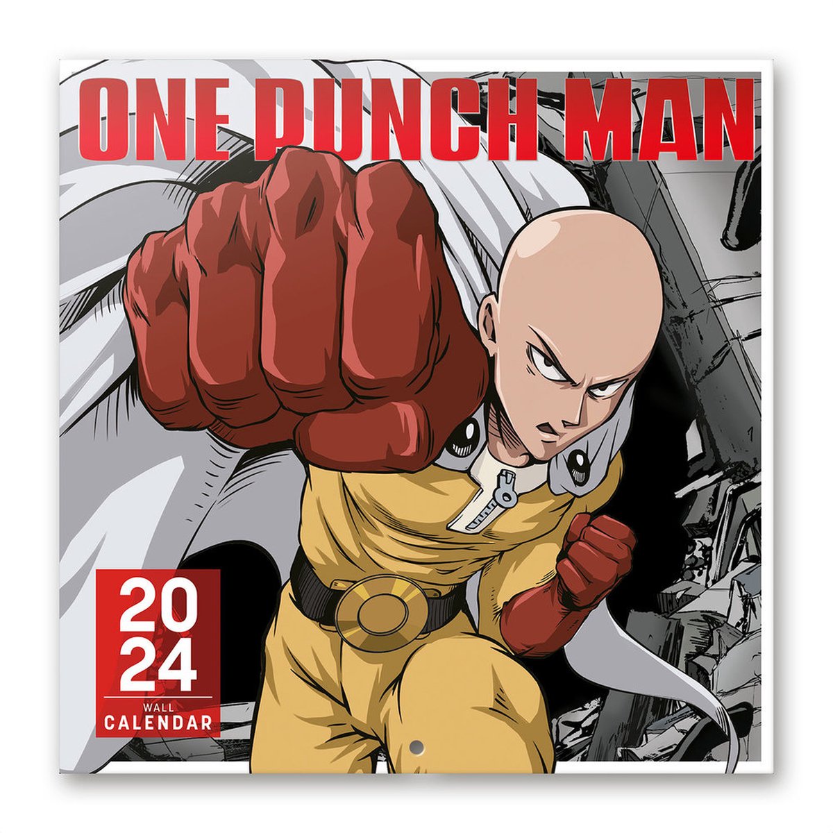 One Punch Man Kalender 2024