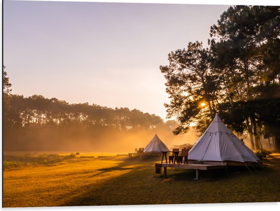 Dibond - Tippie Tenten op Vlakte bij Bos - 80x60 cm Foto op Aluminium (Met Ophangsysteem)