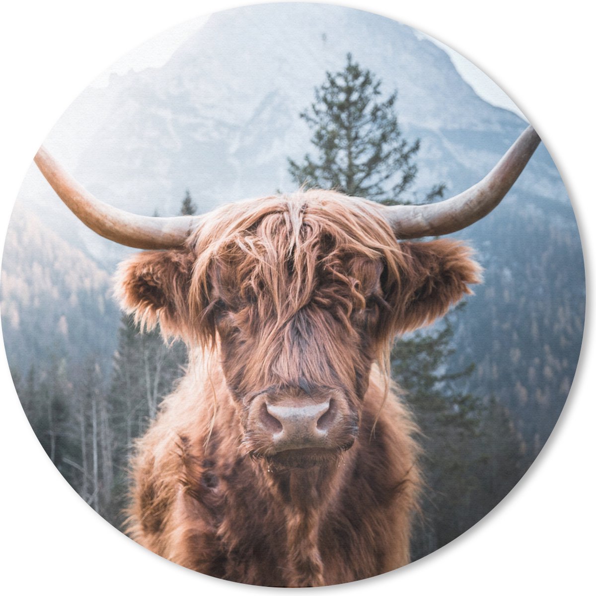 Muismat rond 50x50 cm - Mousepad Schotse hooglander - Berg - Landschap - Ronde muismatten