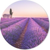 Muismat - Mousepad - Rond - Lavendel - Zonsondergang - Paars - Bloemen - 50x50 cm - Ronde muismat