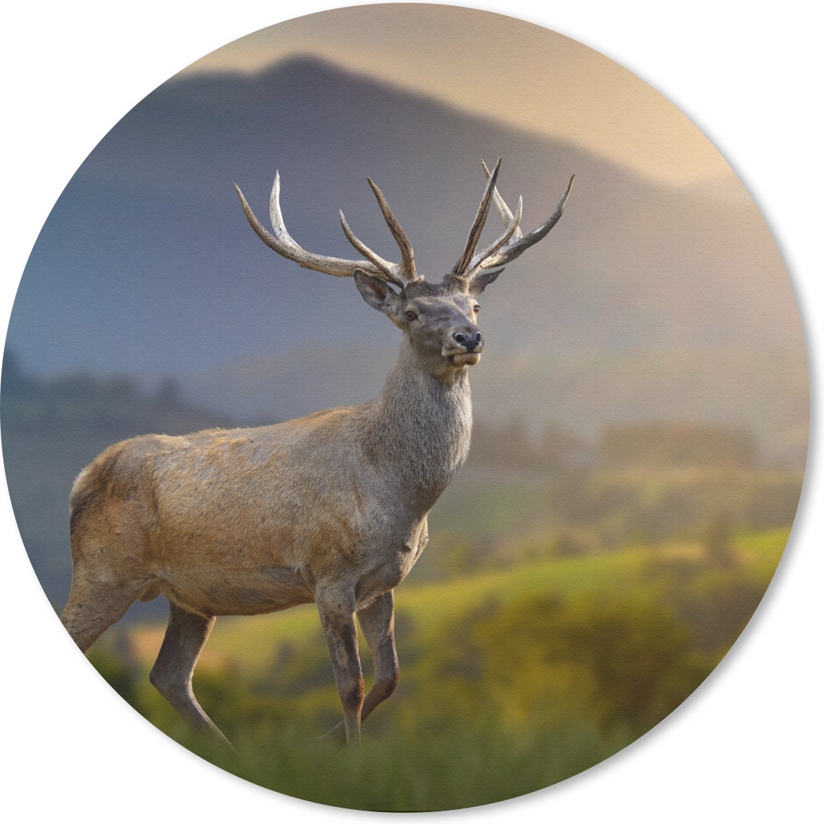 Muismat rond 50x50 cm - Mousepad Hert - Berg - Gras - Zonsondergang - Dieren - Natuur - Ronde muismatten