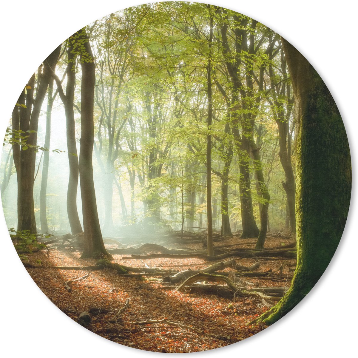 Muismat rond 20x20 cm - Mousepad Bos - Zon - Seizoenen - Landschap - Ronde muismatten