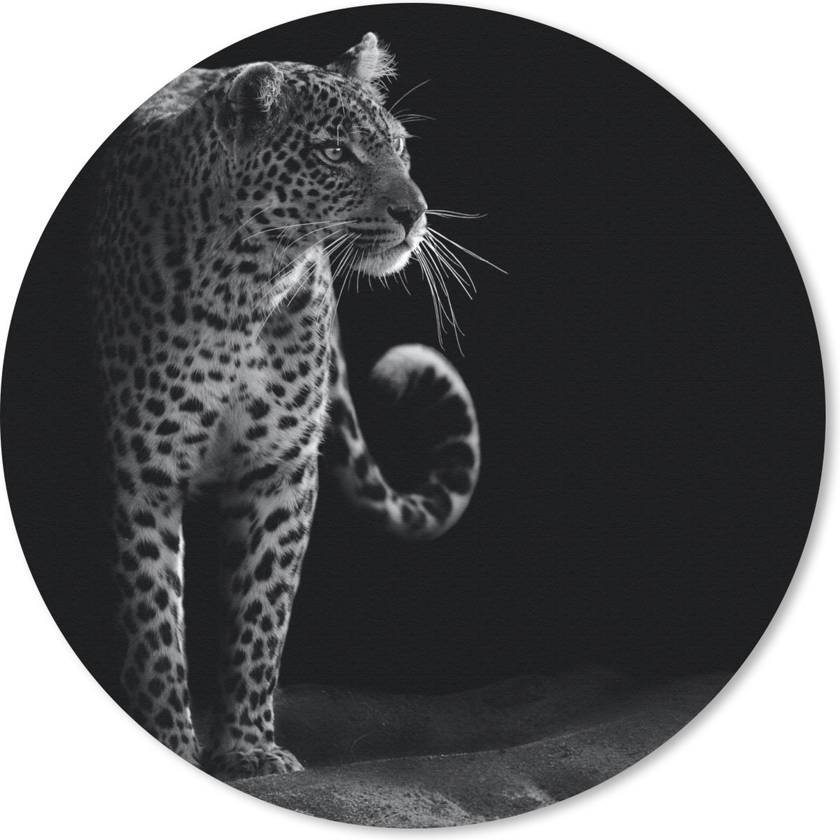 Muismat rond 50x50 cm - Mousepad Wilde dieren - Luipaard - Natuur - Zwart - Wit - Ronde muismatten