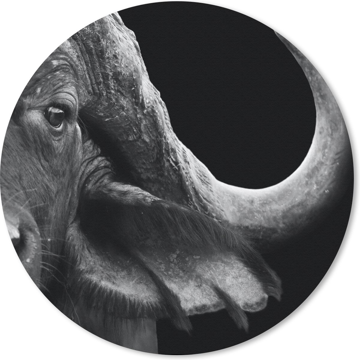 Muismat rond 20x20 cm - Mousepad Buffalo - Dieren - Zwart - Wit - Ronde muismatten