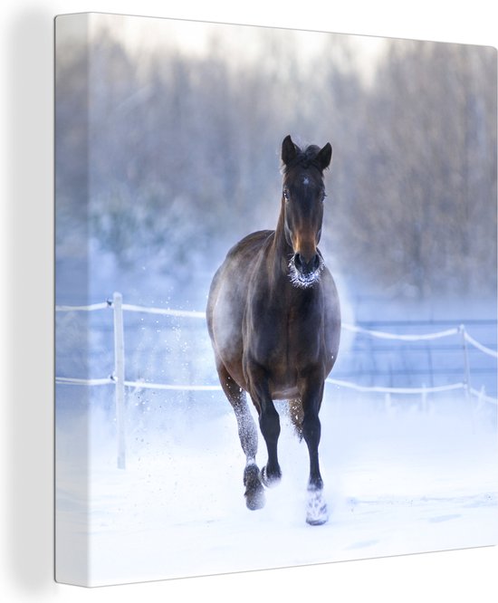 Canvas Schilderij Paard - Sneeuw - Winter - Hek - 50x50 cm - Wanddecoratie