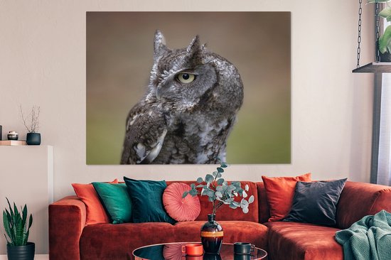 Gros plan d'un petit hibou sur toile 160x120 cm - Tirage photo sur toile (Décoration murale salon / chambre) XXL / Groot format!