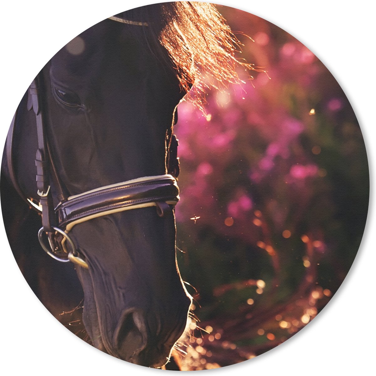Muismat rond 30x30 cm - Mousepad Paard - Zon - Portret - Ronde muismatten