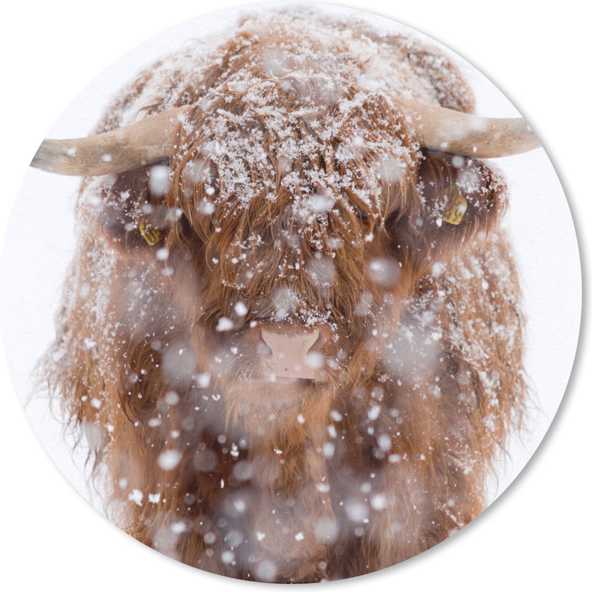 Muismat rond 20x20 cm - Mousepad Schotse Hooglander - Horens - Sneeuw - Ronde muismatten
