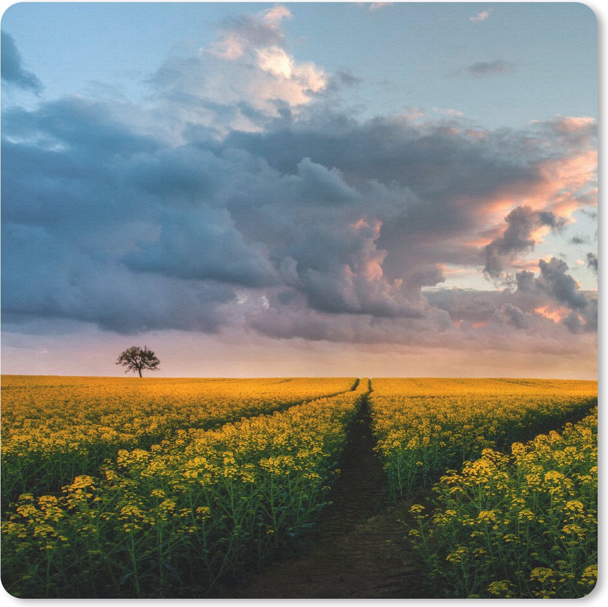 Muismat 20x20 cm - Mousepad Bloemen - Geel - Zonsondergang - Muismatten