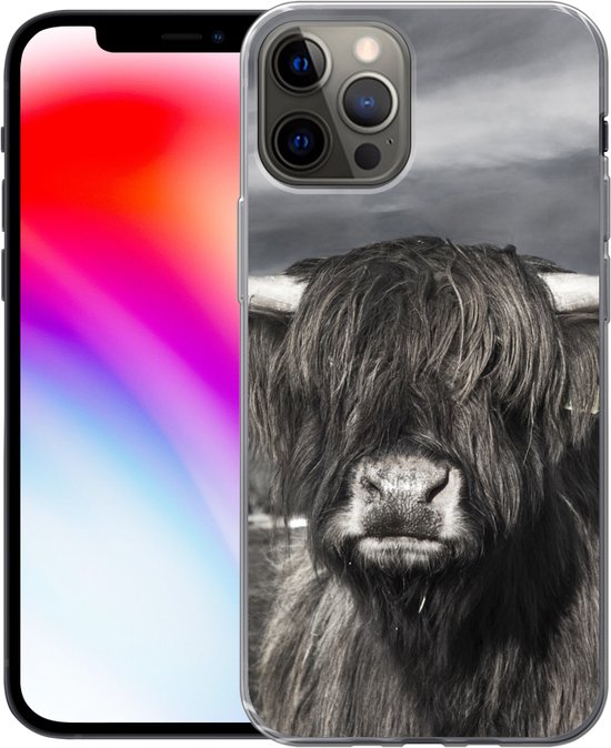 Coque iPhone 13 Pro - Highlander écossais - Animaux - Cornes - Siliconen