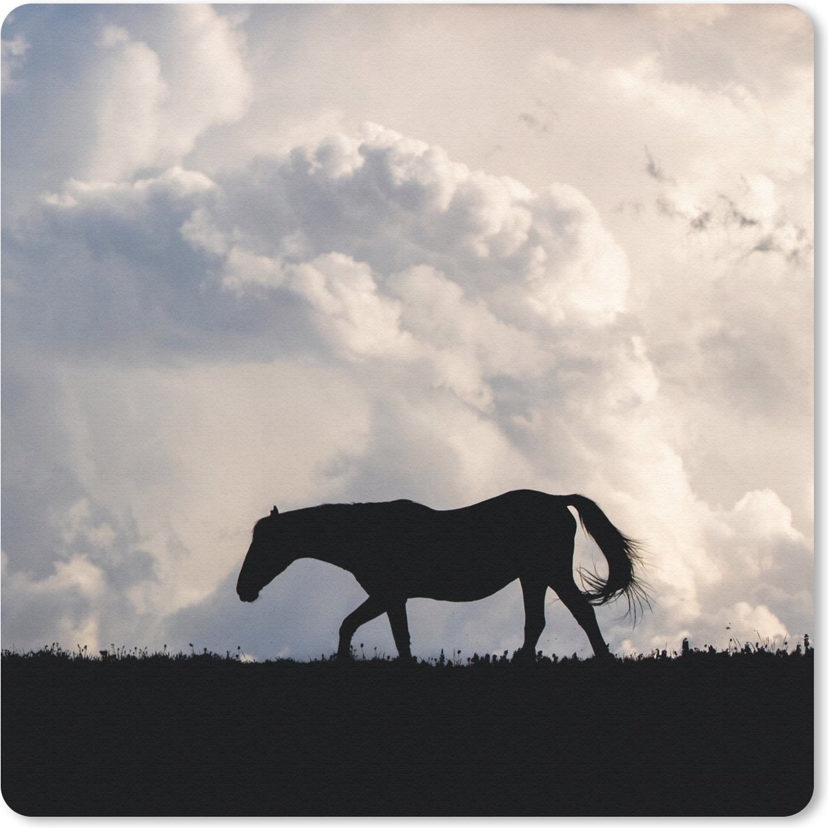 Muismat 30x30 cm - Mousepad Paard - Wolken - Schaduw - Muismatten