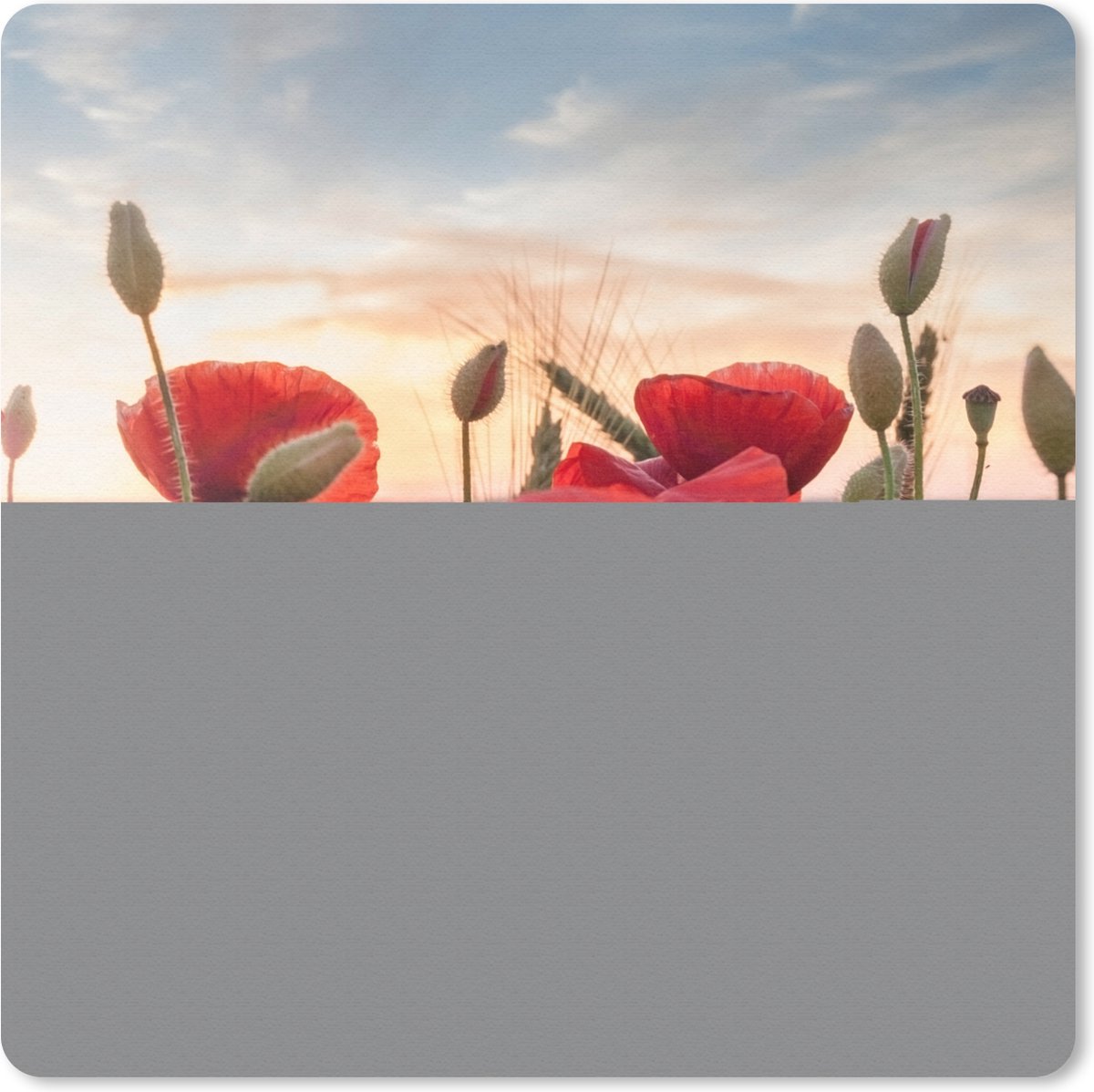 Muismat 20x20 cm - Mousepad Zonsondergang achter de mooie Klaprozen - Muismatten
