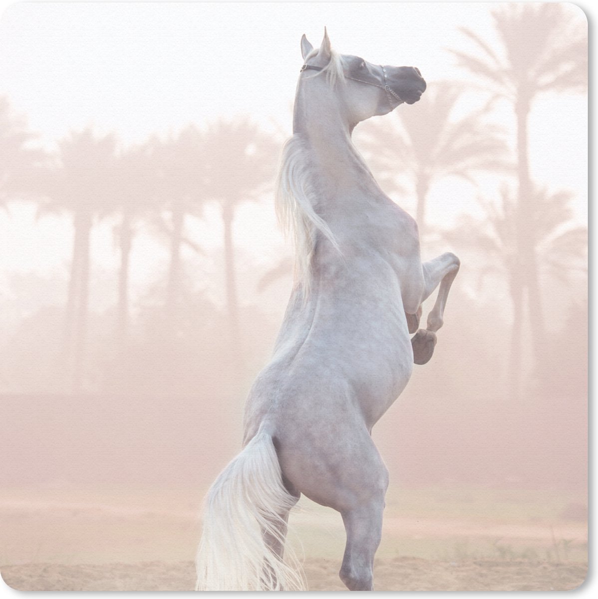 Muismat 30x30 cm - Mousepad Paard - Zand - Palmboom - Muismatten