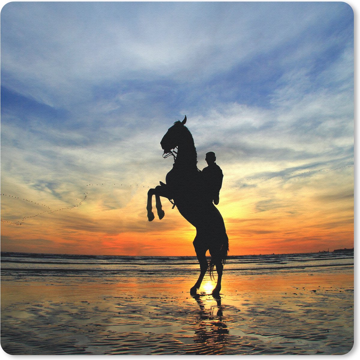 Muismat 30x30 cm - Mousepad Paard - Lucht - Schaduw - Muismatten