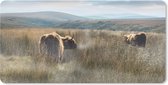 Bureau onderlegger - Muismat - Bureau mat - Schotse Hooglanders - Mist - Gras - 80x40 cm