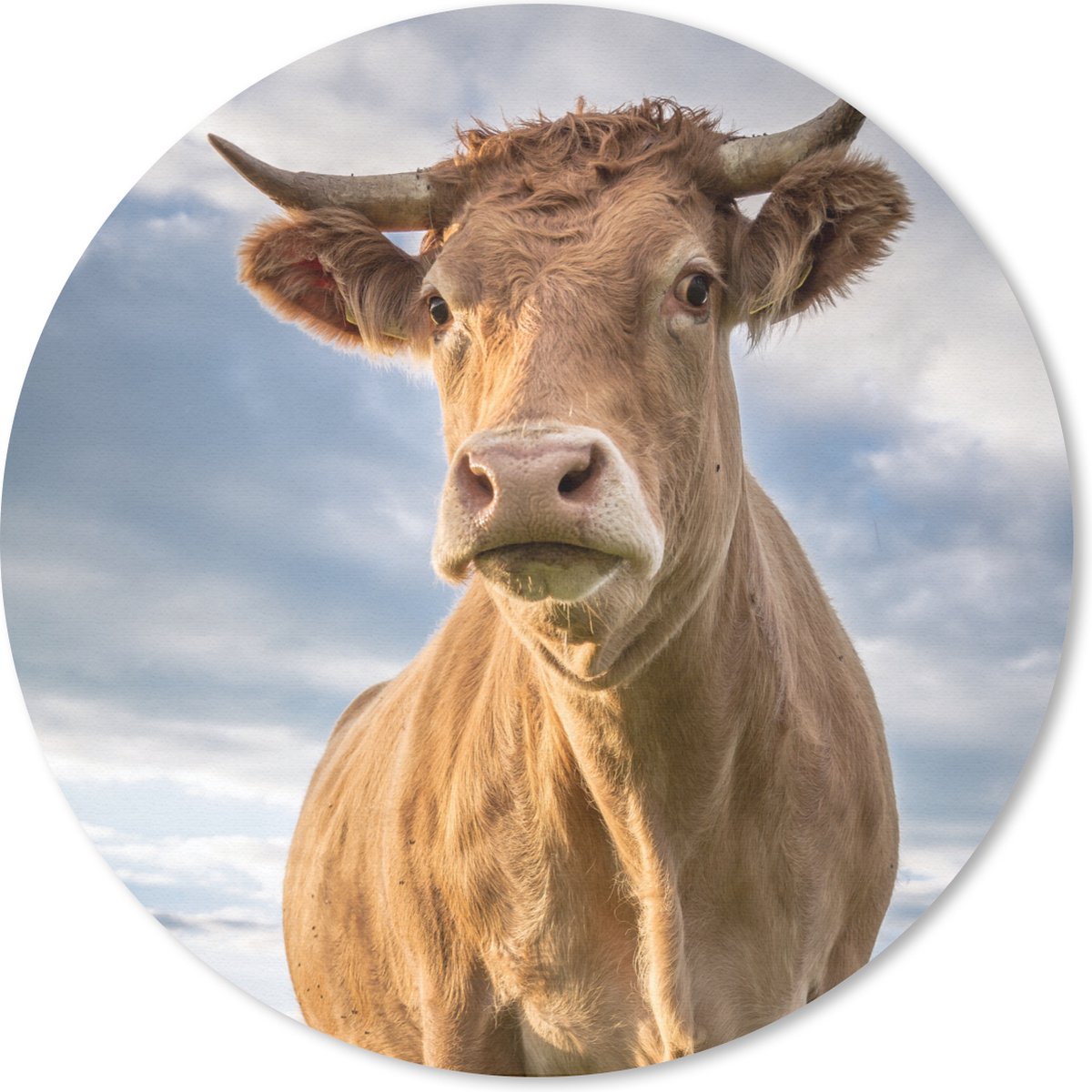 Muismat rond 50x50 cm - Mousepad Koe - Bruin - Natuur - Ronde muismatten