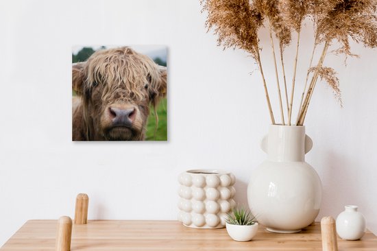 Peinture sur toile Highlander écossais - Herbe - Forêt - 20x20 cm - Décoration murale