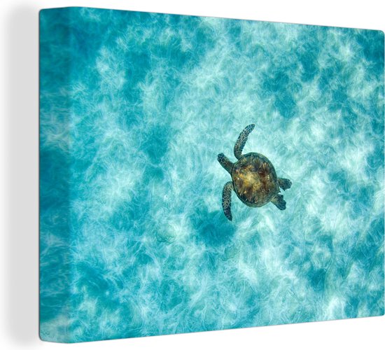 Suspension Murale Tortue De Mer Verte - Décoration Maritime, Style Nautique - Pour Salon, Chambre, Bureau