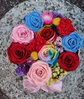 Speciale flowerbox met mix gestabiliseerd rozen en gestabiliseerde anjers combineert met verschillende droog bloemen/ kleurrijke bloemen in rood hemelblauw roze geel lila / cadeau / geschenk voor elke gelege