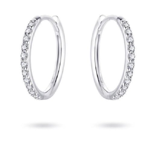 Belles Boucles d'oreilles scintillantes en or Wit 14 carats 15 mm. avec diamants 0,19 ct. IHV | Jonline