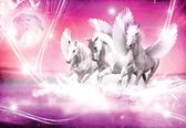 Fotobehang - Pegasussen in het Water - Roze - Unicorns - Magic Horses - Paarden - Vliesbehang - 208 x 146 cm