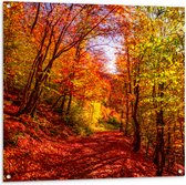 Tuinposter – Bospad Bedolven onder Rode Herfstbladeren in Herfstbos - 100x100 cm Foto op Tuinposter (wanddecoratie voor buiten en binnen)