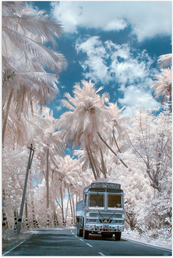Poster Glanzend – Wit Busje Rijdend tussen de Witte Palmbomen onder Schapenwolken - 40x60 cm Foto op Posterpapier met Glanzende Afwerking