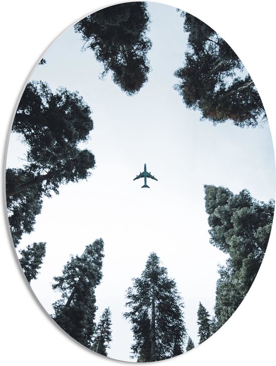 PVC Schuimplaat Ovaal - Onderaanzicht van Passagiersvliegtuig tussen Hoge Bomen - 42x56 cm Foto op Ovaal (Met Ophangsysteem)