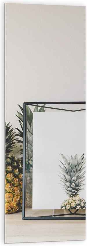 Acrylglas - Lijst met Ananas en Ananassen ernaast - 40x120 cm Foto op Acrylglas (Wanddecoratie op Acrylaat)