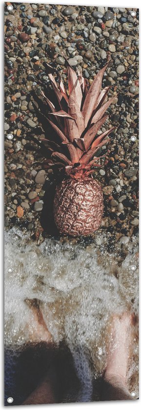 Tuinposter – Ananas op Kiezelstrand - 50x150 cm Foto op Tuinposter (wanddecoratie voor buiten en binnen)