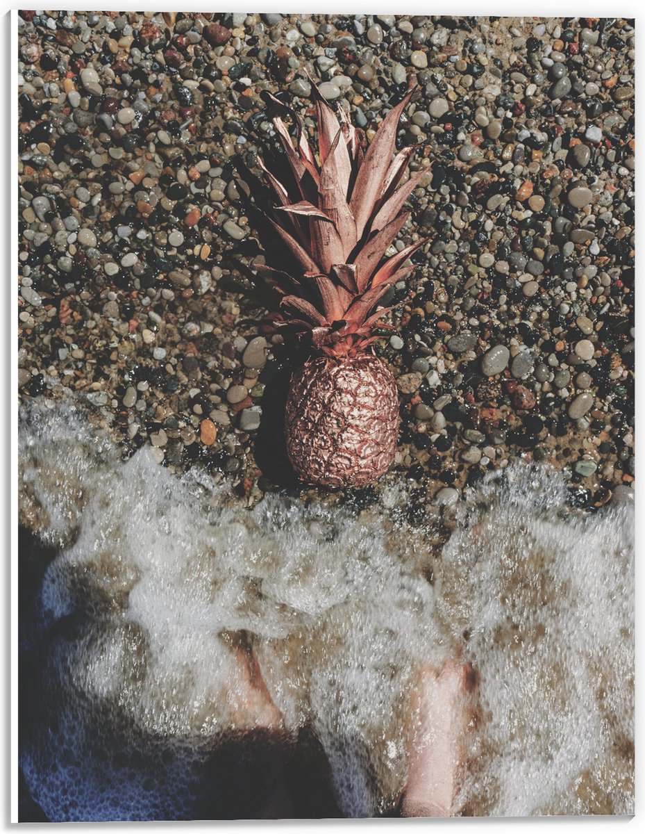 PVC Schuimplaat- Ananas op Kiezelstrand - 30x40 cm Foto op PVC Schuimplaat