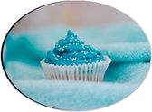 Dibond Ovaal - Cupcake met Blauwe Botercrème - 28x21 cm Foto op Ovaal (Met Ophangsysteem)