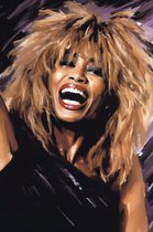 Tina Turner Poster - Poster Muziek - Queen of Rock - Abstract Poster - 61x91 - Geschikt om in te lijsten