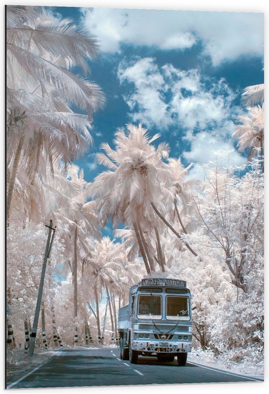 Dibond - Wit Busje Rijdend tussen de Witte Palmbomen onder Schapenwolken - 60x90 cm Foto op Aluminium (Wanddecoratie van metaal)