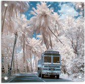Tuinposter – Wit Busje Rijdend tussen de Witte Palmbomen onder Schapenwolken - 50x50 cm Foto op Tuinposter (wanddecoratie voor buiten en binnen)