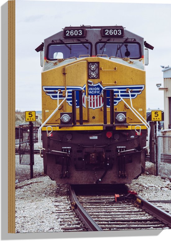 Hout - Gele Trein Rijdend over het Spoor - 40x60 cm - 9 mm dik - Foto op Hout (Met Ophangsysteem)